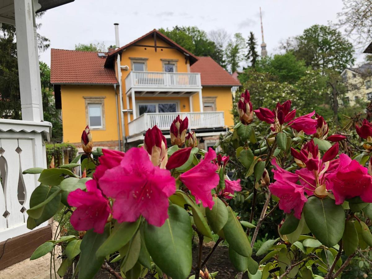 Ferienwohnung Casa Casimir Mit Elbblick, Balkon Und Grossen Garten Dresden Buitenkant foto
